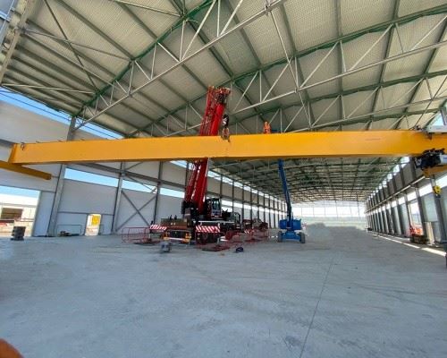 electric single beam crane (2)