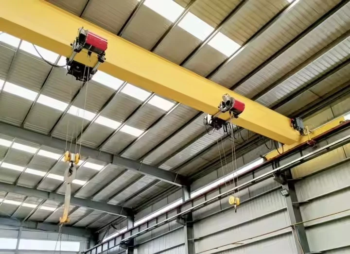 FEM Standard Single Girder Overhead Crane suppliers