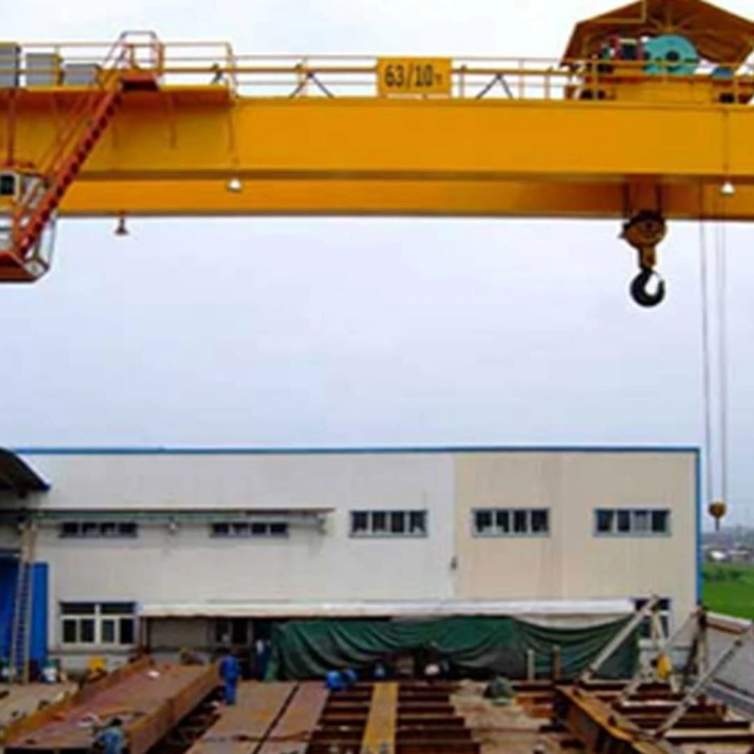 goliath-cranes1 goliath-cranes1